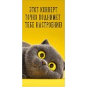 Конверт для денег ЭТОТ КОНВЕРТ ТОЧНО ПОДНИМЕТ ТЕБЕ НАСТРОЕНИЕ!  (серый кот на желтом фоне), 84*168мм