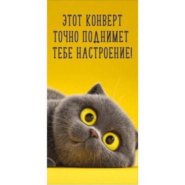 Конверт для денег ЭТОТ КОНВЕРТ ТОЧНО ПОДНИМЕТ ТЕБЕ НАСТРОЕНИЕ!  (серый кот на желтом фоне), 84*168мм