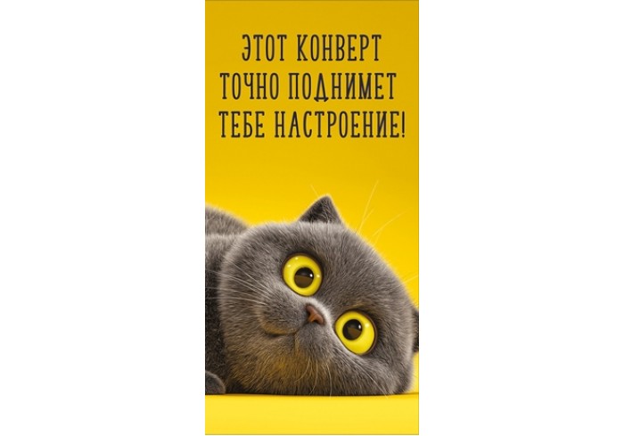 Конверт для денег ЭТОТ КОНВЕРТ ТОЧНО ПОДНИМЕТ ТЕБЕ НАСТРОЕНИЕ!  (серый кот на желтом фоне), 84*168мм