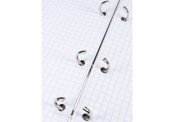 Тетрадь клетка А5 80л. ХАМЕЛЕОНЫ И АВОКАДО на кольцах, глянцевая ламинац, лен