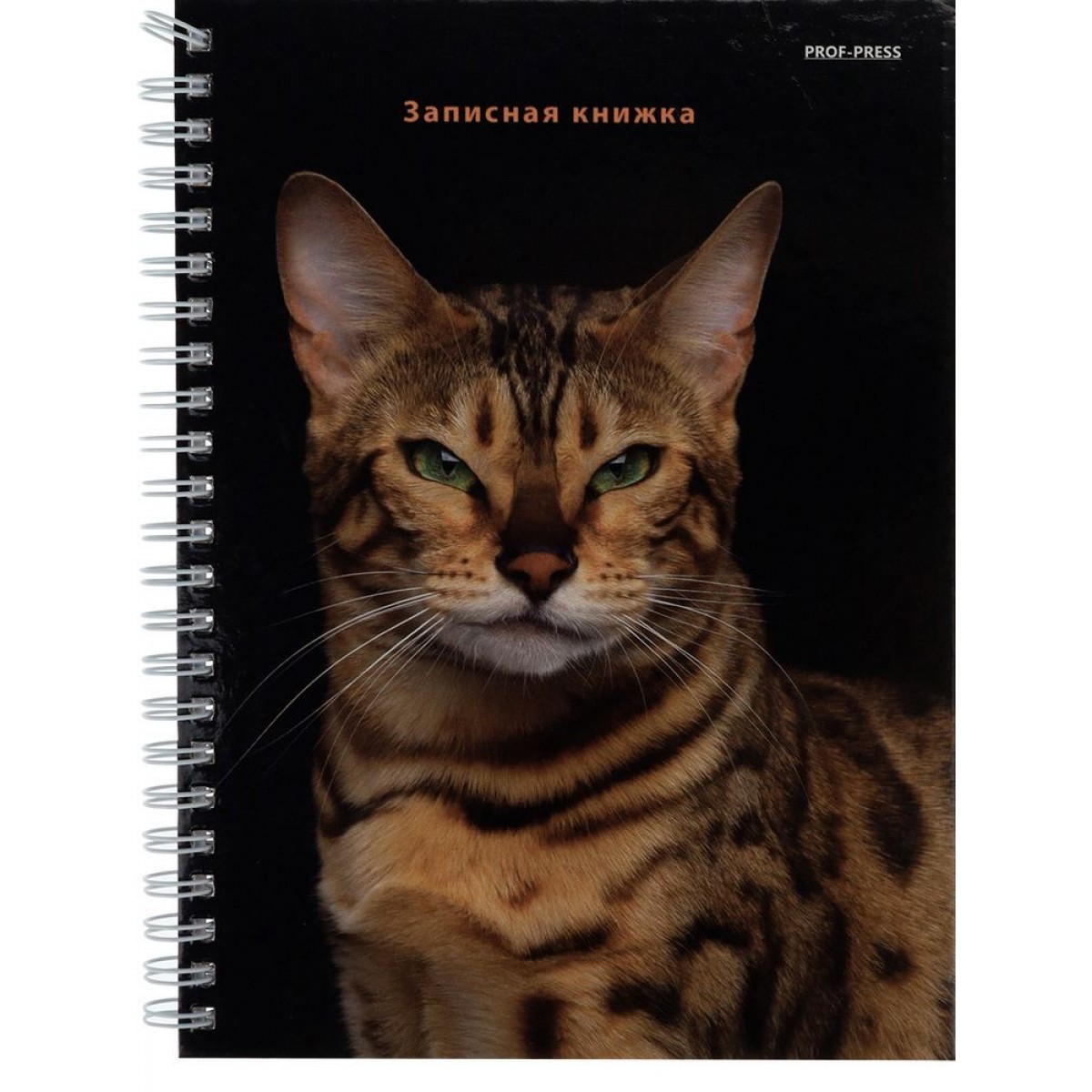 Записная книга 80л, А5, на гребне, БЕНГАЛЬСКИЙ КОТ (7БЦ, на гребне, глянц.ламинирование)твердая
