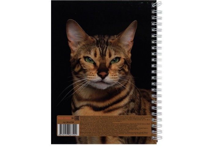 Записная книга 80л, А5, на гребне, БЕНГАЛЬСКИЙ КОТ (7БЦ, на гребне, глянц.ламинирование)твердая