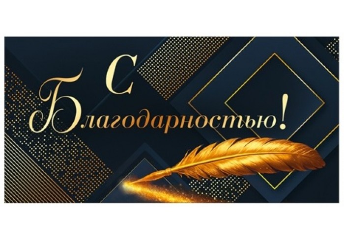 Конверт для денег С БЛАГОДАРНОСТЬЮ, 84*168мм, фольга