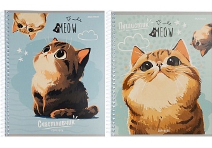 Тетрадь КЛЕТКА А5, 96л. КОТ-ПУШИСТИК цвет. спираль, цвет.мелов.обложка