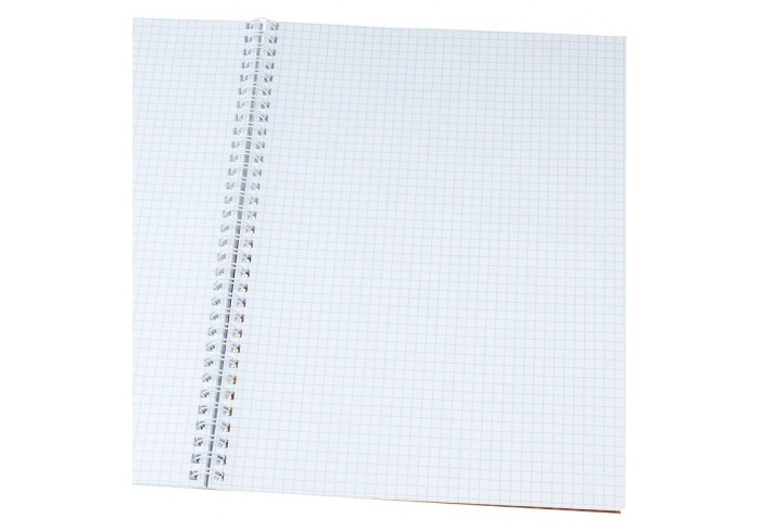 Тетрадь клетка А4 96л. ПРИРОДА ПУСТЫНИ, гребень, 4+4 тиснение холст