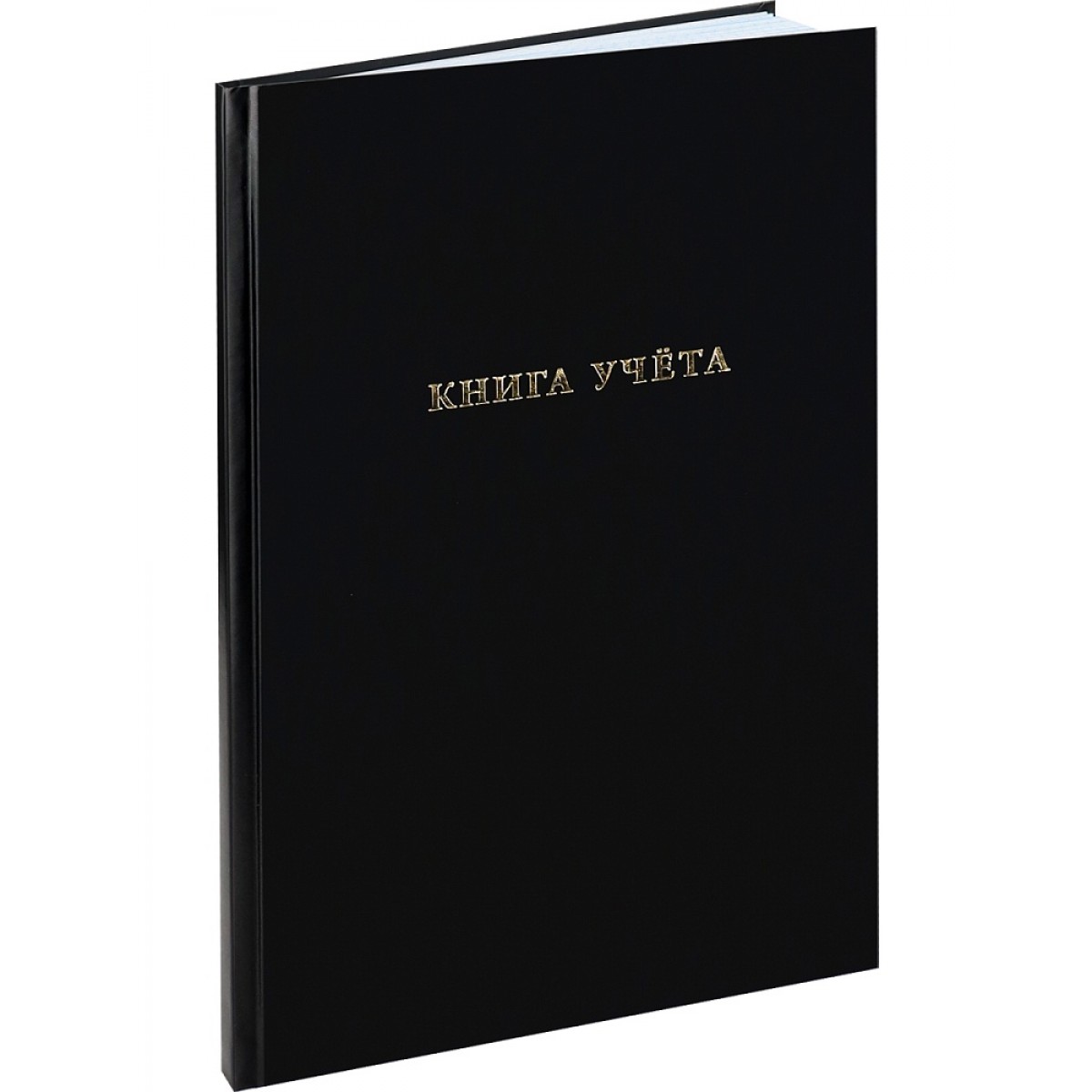 Книга учета А4 бумвинил 96л ЧЕРНЫЙ, тиснение фольгой, клетка