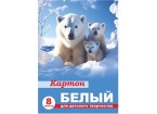 Картон белый немелованный 8л., А4, 200г/м2, в папке 195х295мм 