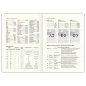 Ежедневник недатированный, B5, 136л., твердый переплет, кожзам, BG 