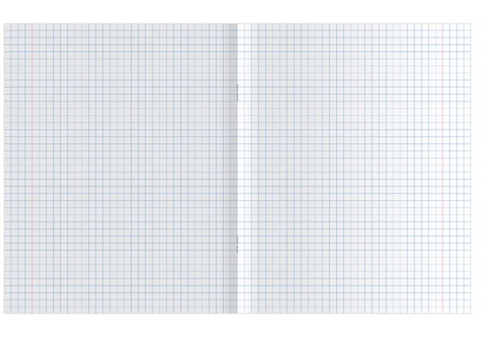 Тетрадь 48л., А5, клетка Greenwich Line 