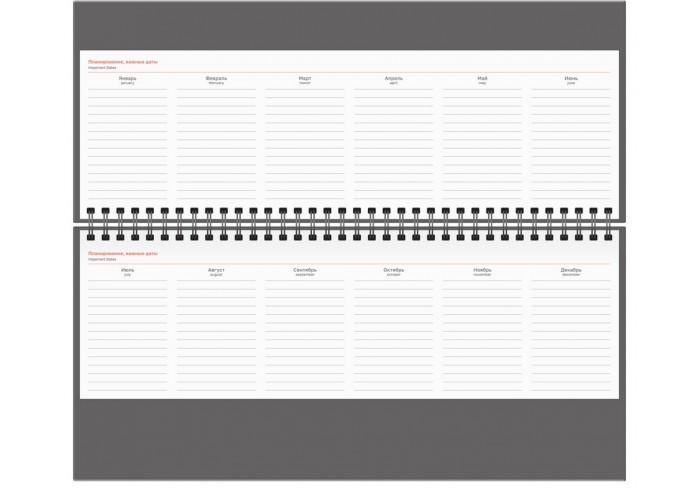 Планинг недатированный, 56л., 330*130мм, балакрон, BG 