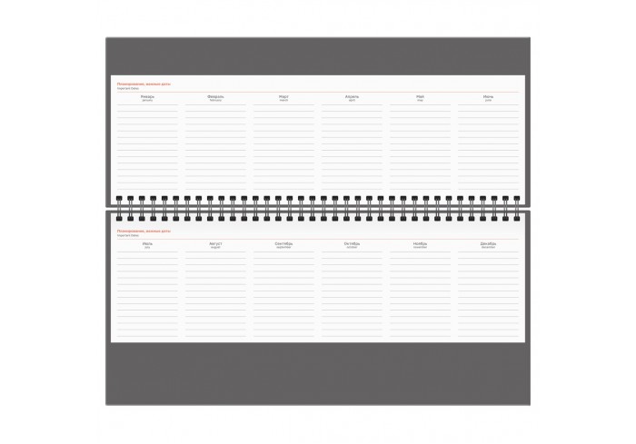 Планинг недатированный, 56л., 330*130мм, балакрон, BG 