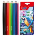 Карандаши цветные пластиковые 12  цветов 3х-гранные Skyglory