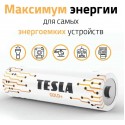 Элемент питания TESLA GOLD+ LR6 АА
