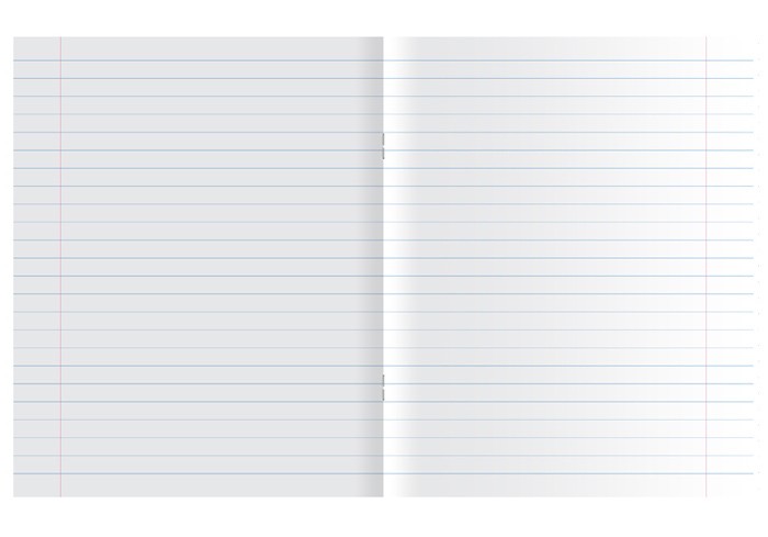 Тетрадь школьная 18 листов, ЛИНЕЙКА