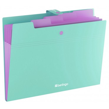 Папка 5 отделений Berlingo 