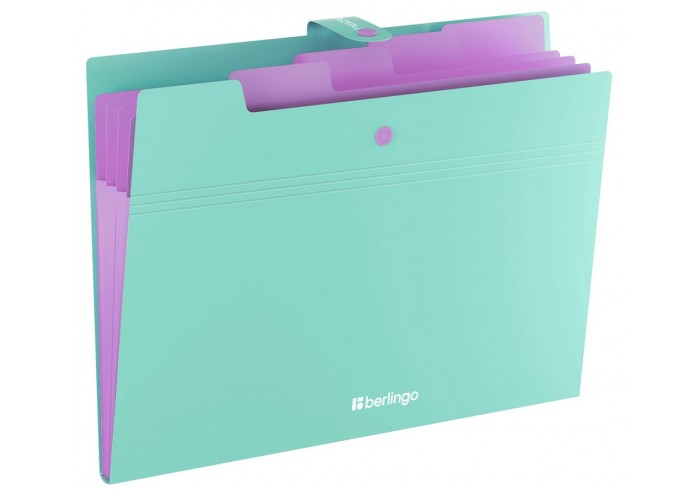 Папка 5 отделений Berlingo 