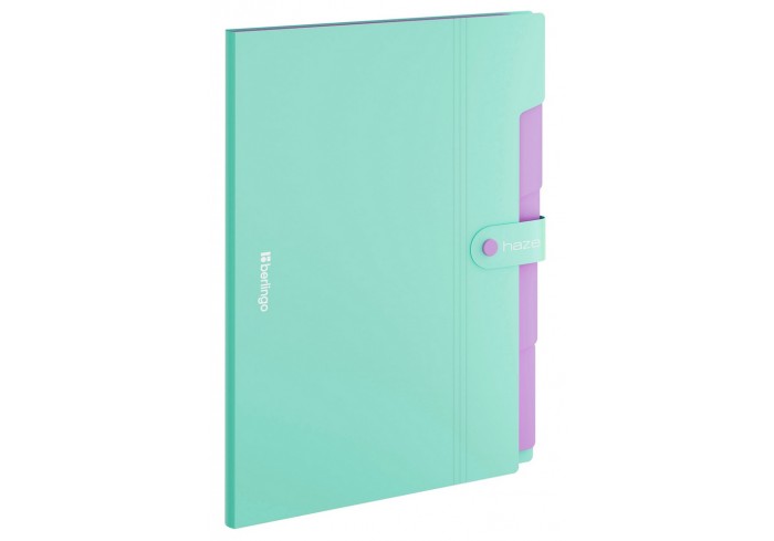 Папка 5 отделений Berlingo 