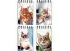 Блокнот А7 40л. на гребне НАРИСОВАННЫЕ КОТИКИ обл.-мел.картон, блок-офсет,в клетку