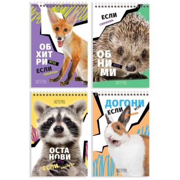 Блокнот А6 40л. на гребне BG 