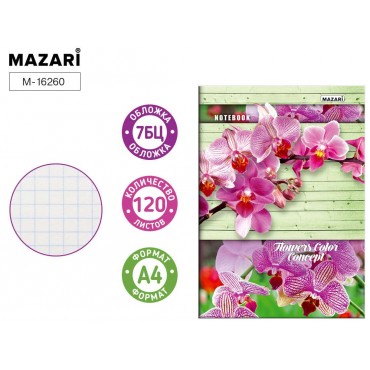 Бизнес-блокнот А4 (200*280), 120л в клетку, блок офсет, твердая обложка