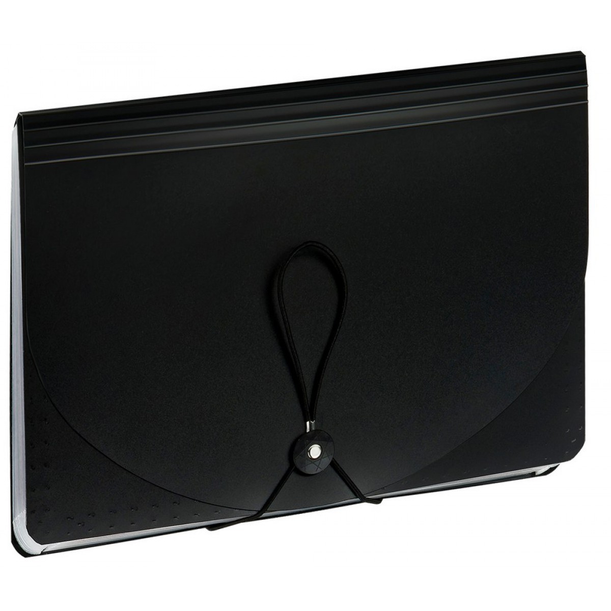 Папка-органайзер для хранения документов СТАММ А4, 13 отделений,  черный