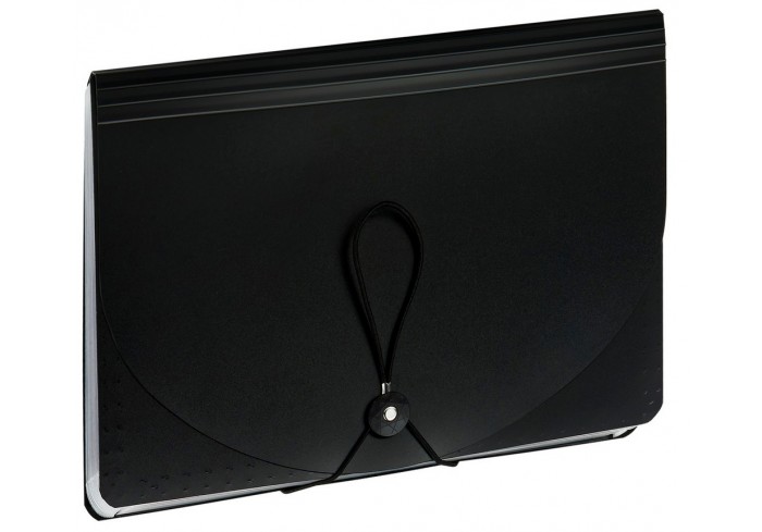 Папка-органайзер для хранения документов СТАММ А4, 13 отделений,  черный