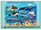 Настольное покрытие А4+ Животные моря