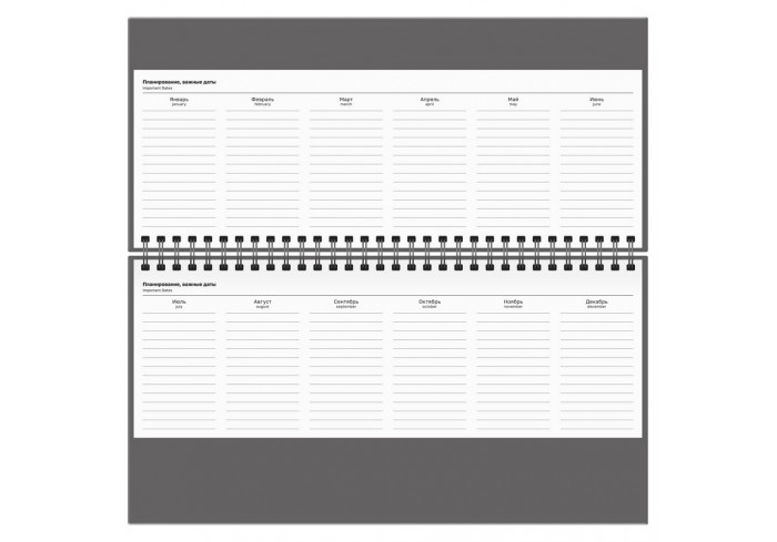 Планинг недатированный 56 листов, 285*100 мм, картон, BG 