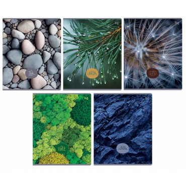 Тетрадь 48л., А5, клетка BG 