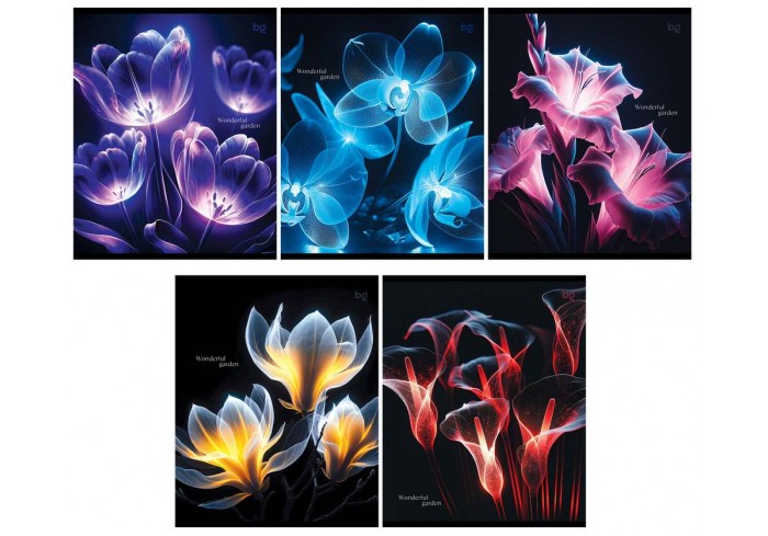 Тетрадь 48л., А5, линия BG 