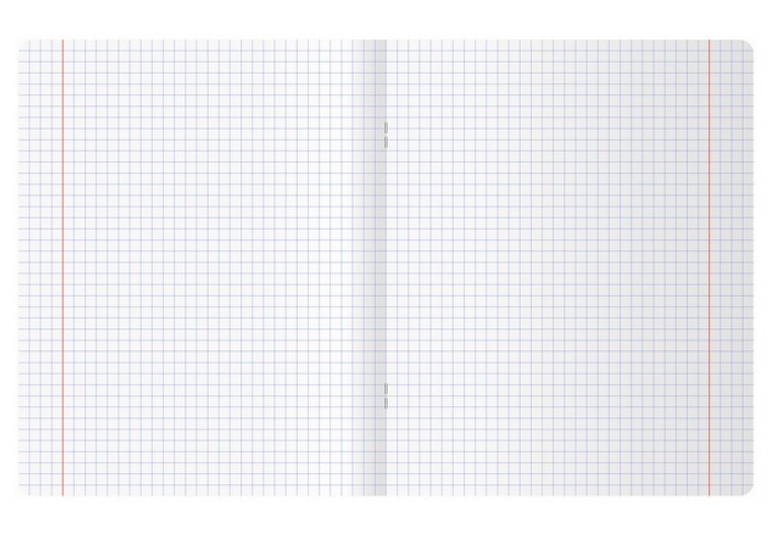 Тетрадь 48л., А5, клетка BG 