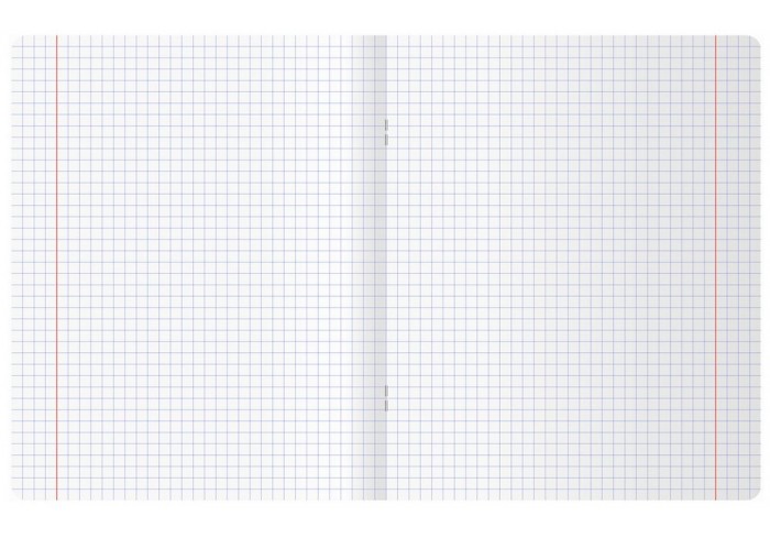 Тетрадь 48л., А5, клетка BG 