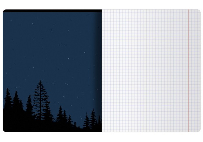 Тетрадь 48л., А5, клетка BG 