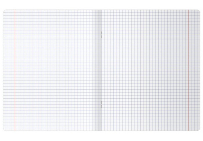 Тетрадь 48л., А5, клетка BG 