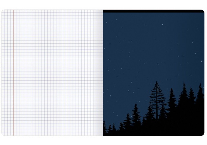 Тетрадь 48л., А5, клетка BG 