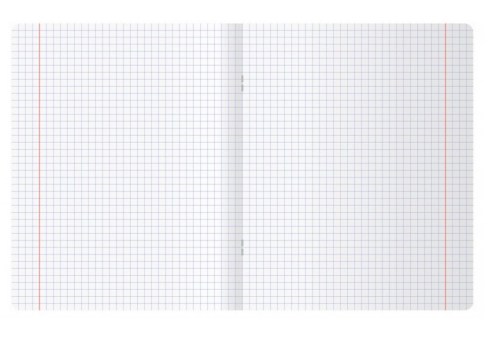 Тетрадь 48л., А5, клетка BG 