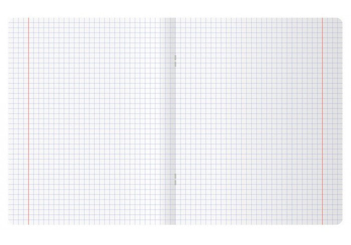 Тетрадь 48л., А5, клетка BG 