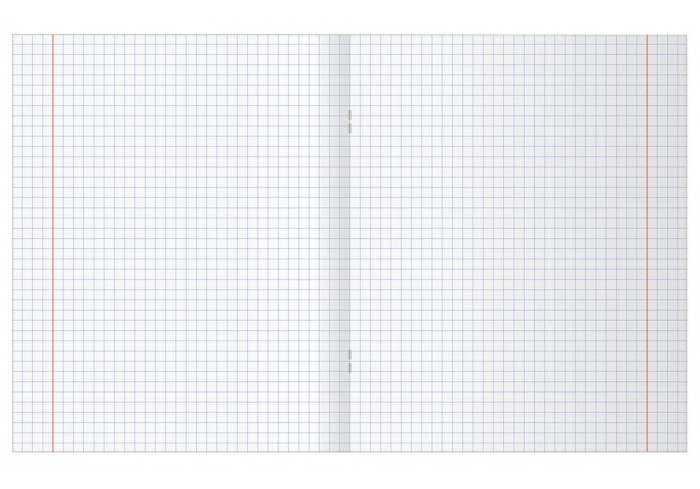 Тетрадь 48л., А5 клетка BG 