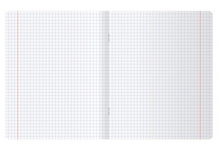 Тетрадь 48л., А5, клетка BG 