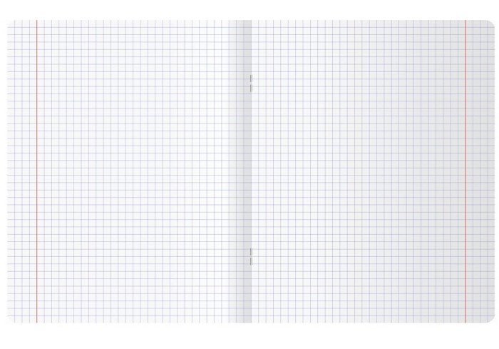 Тетрадь 96л., А5, клетка BG 