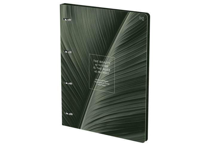 Тетрадь на кольцах А4, 120л., BG 