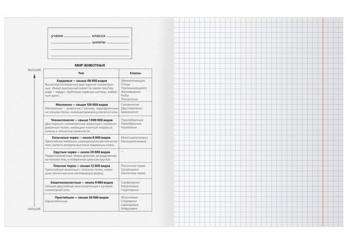 Тетрадь предметная 48л. BG 