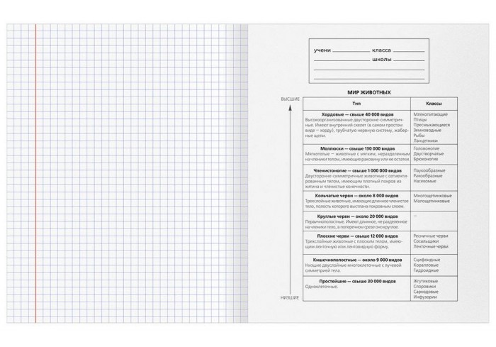 Тетрадь предметная 48л. BG 